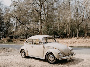 white volkswagen beetle parked on dirt road near trees during daytime