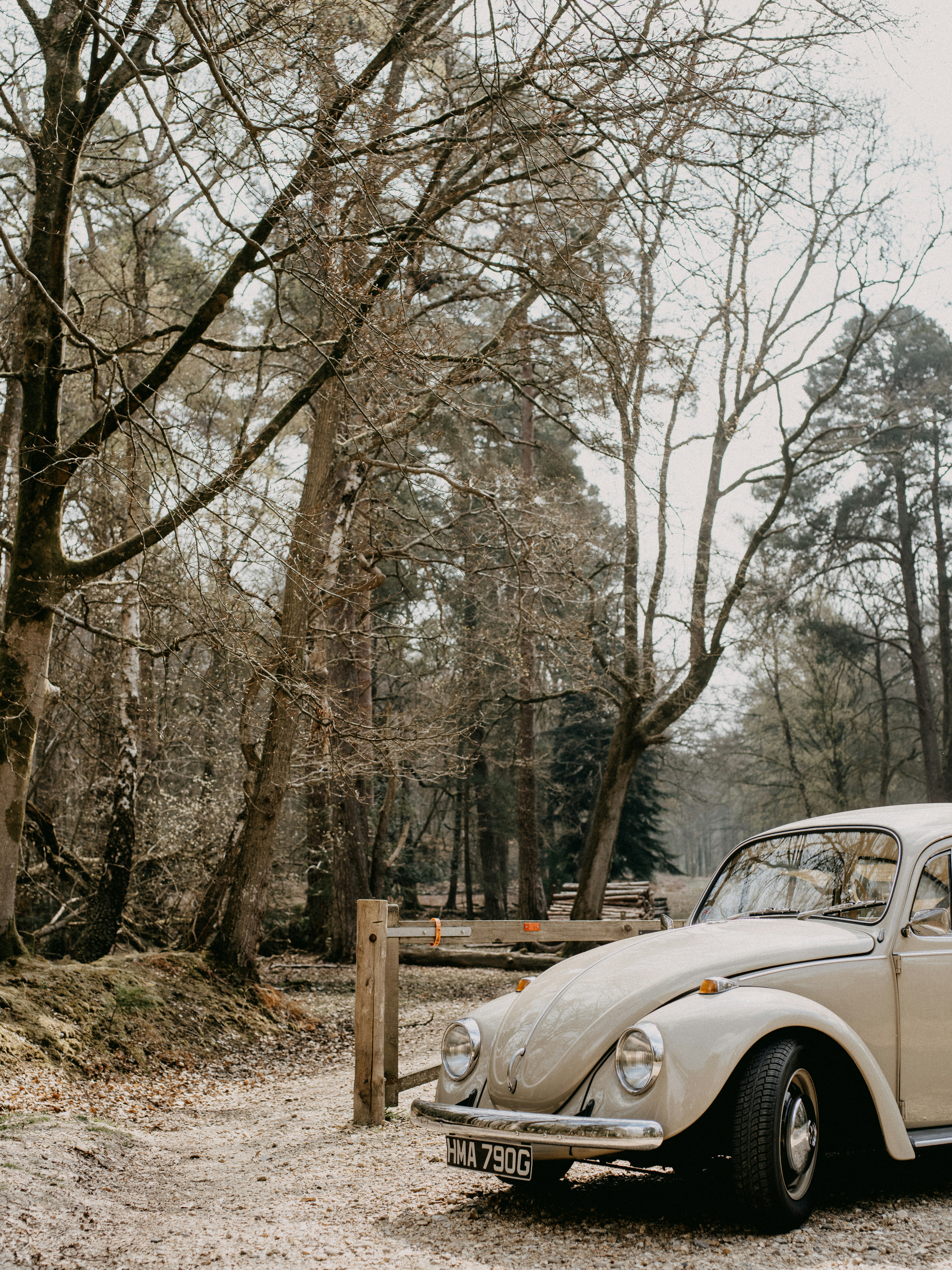 white car parked near trees during daytime