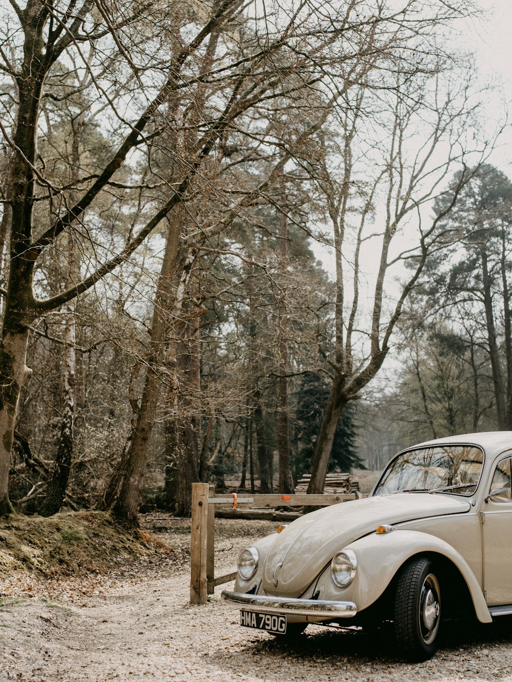 white car parked near trees during daytime