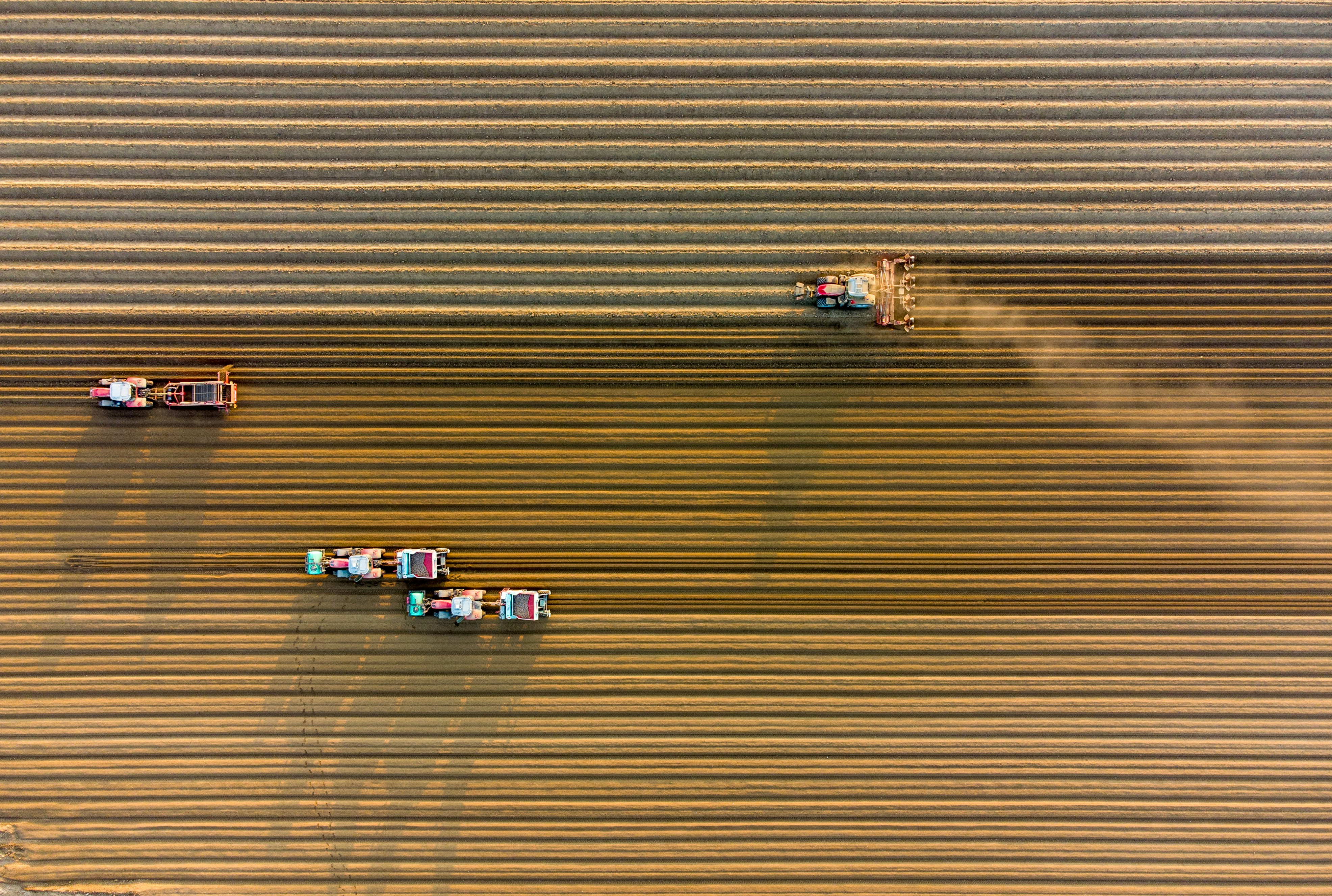 cars parked on parking lot