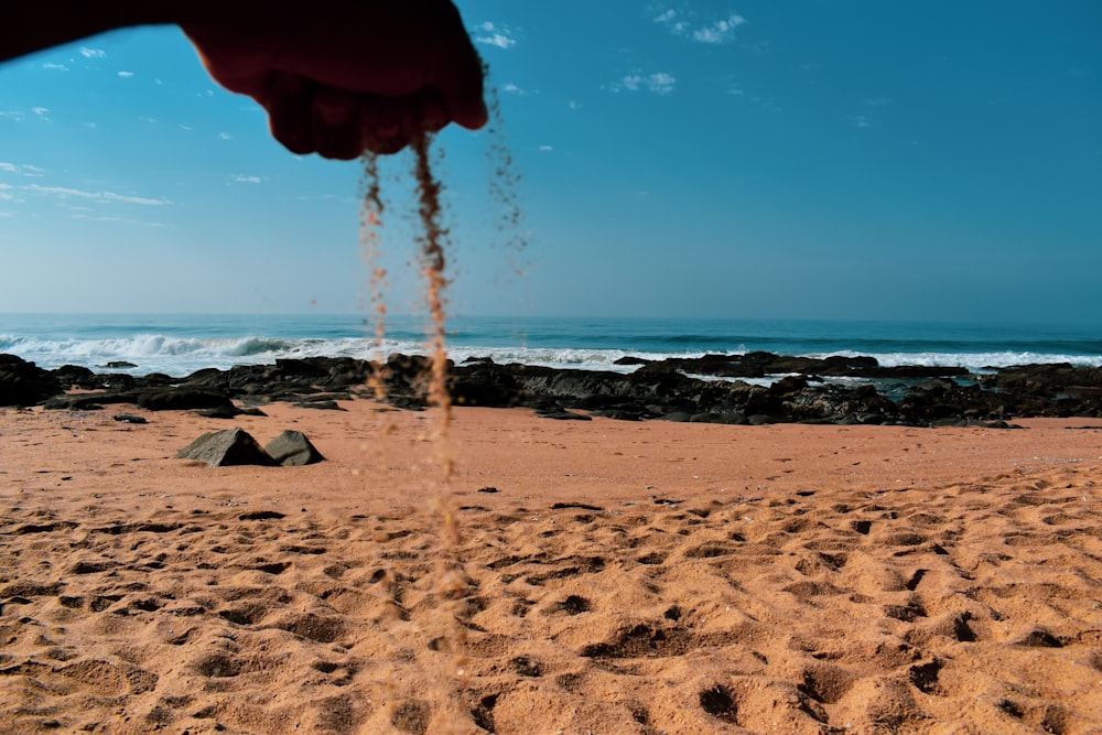 person holding brown stick near sea during daytime