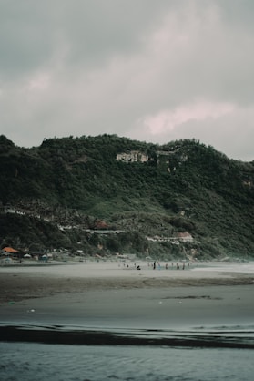 people on beach during daytime
