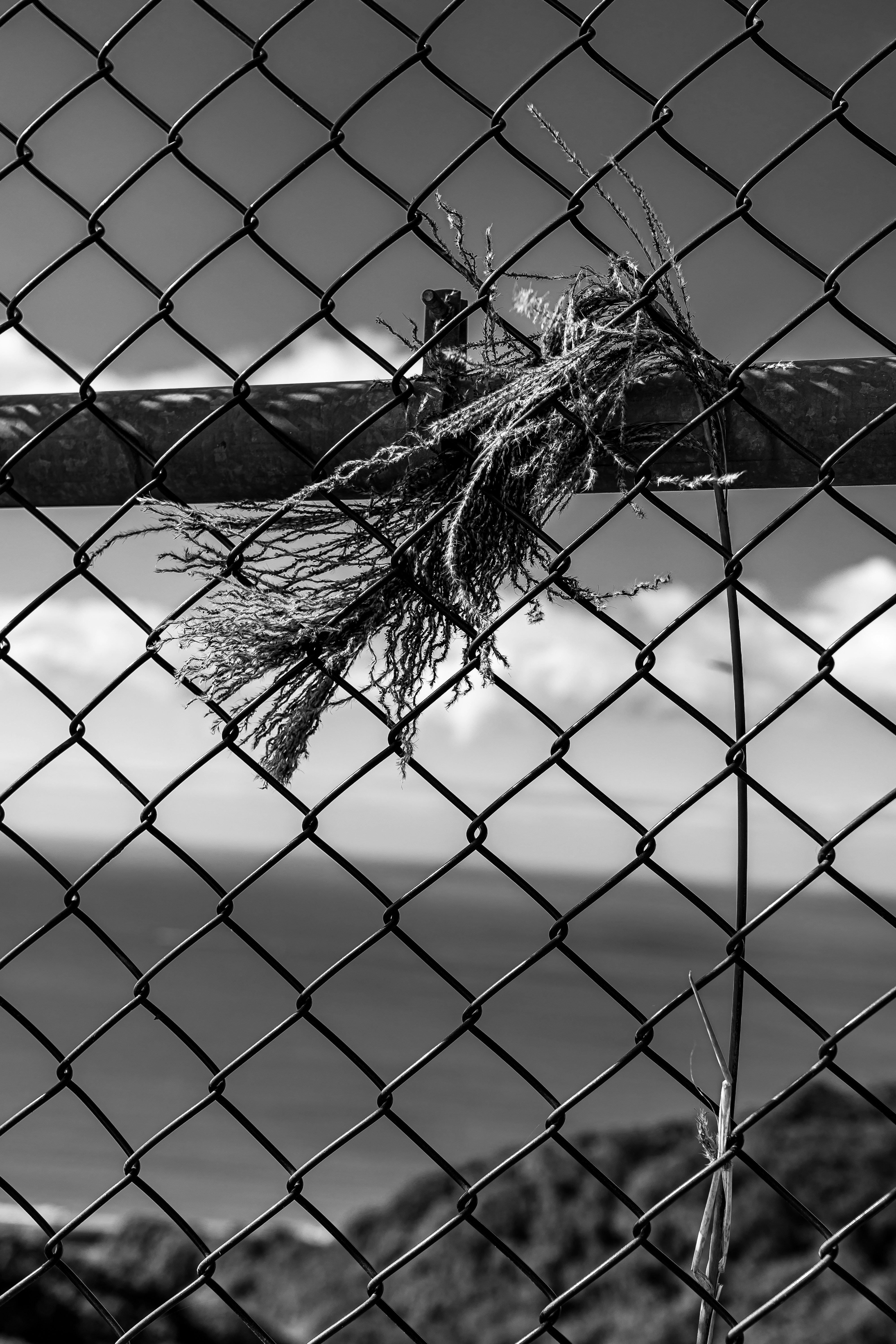 Photo by esthercheng514