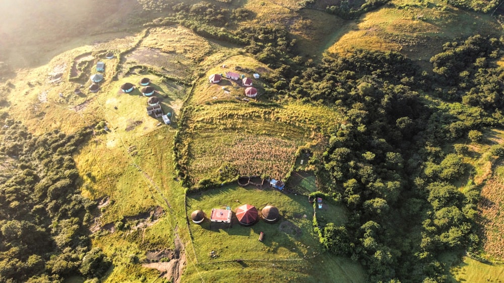 Luftaufnahme von Menschen auf grünem Rasenfeld während des Tages