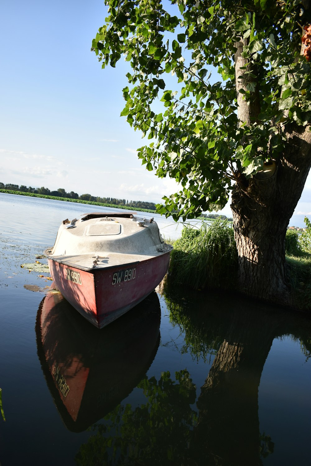 red and white boat on lake during daytime