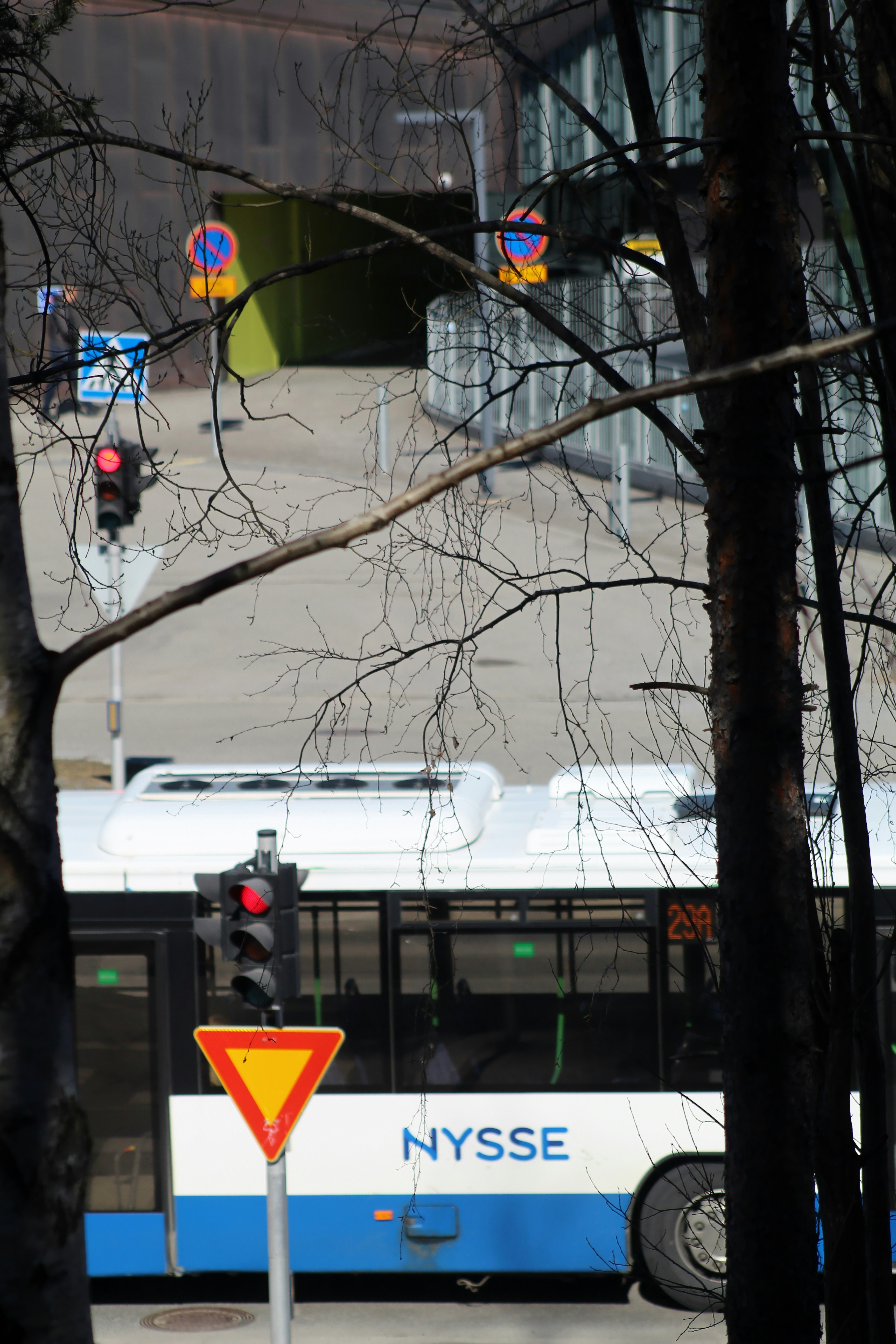 red traffic light on bare tree during daytime