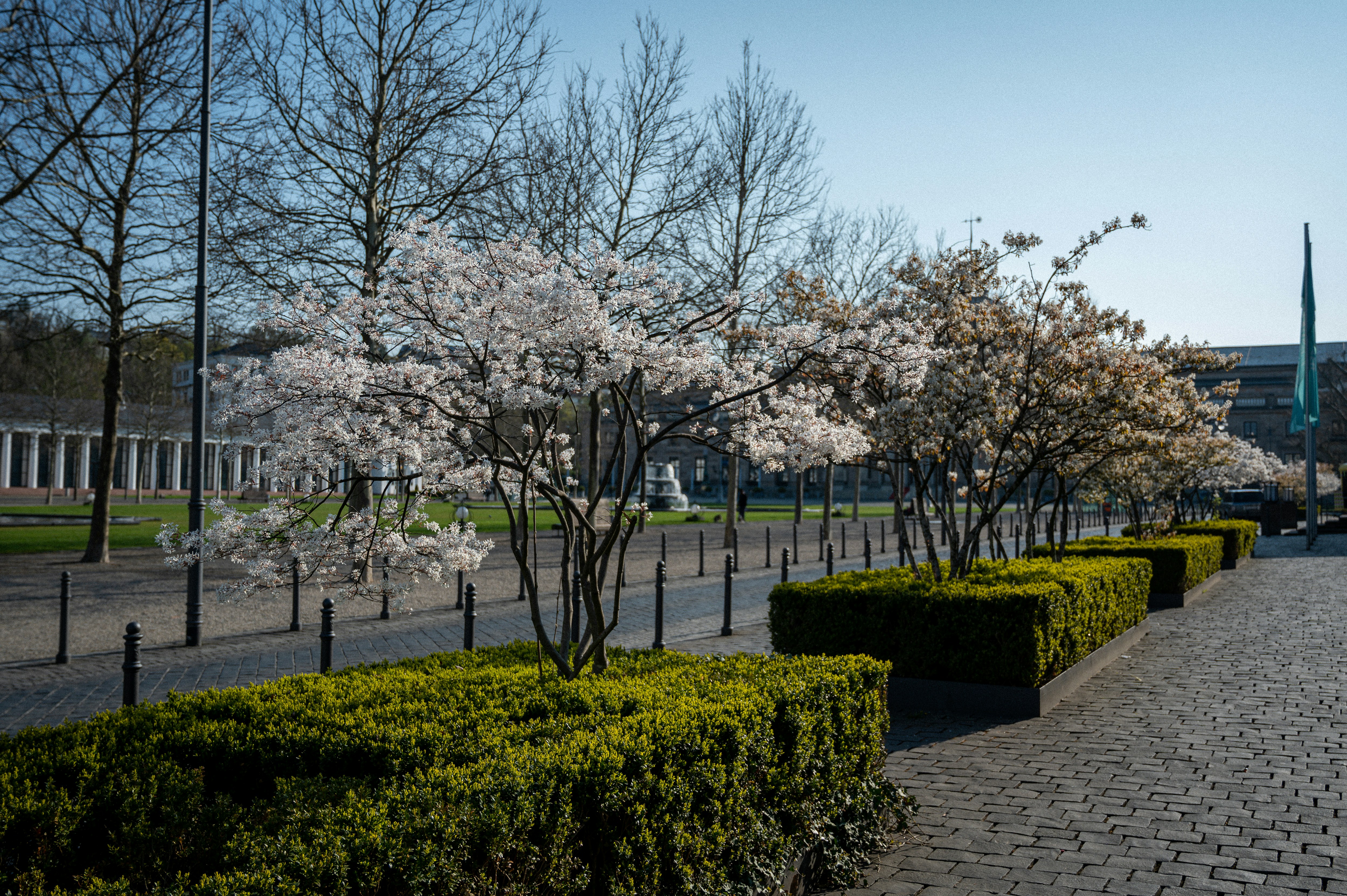 Photo by joshuazissphotography