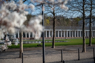 An elegant garden scene featuring a long colonnade with arches behind a manicured green lawn. Several bare trees stand in the foreground, casting shadows on the ground. The scene is enhanced by a nearby fountain and ornamental benches, creating a serene atmosphere. Blossoming trees partially obscure the view in the foreground, adding a touch of color and depth.