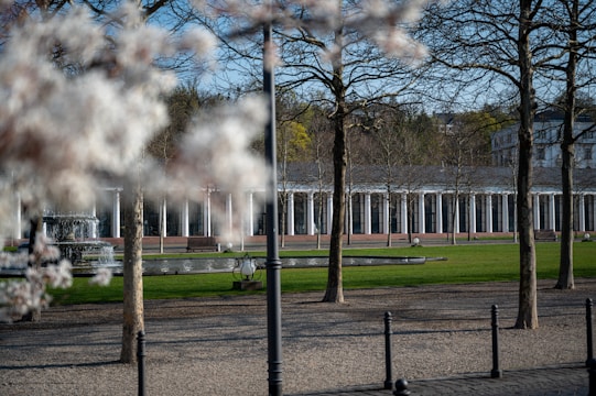 An elegant garden scene featuring a long colonnade with arches behind a manicured green lawn. Several bare trees stand in the foreground, casting shadows on the ground. The scene is enhanced by a nearby fountain and ornamental benches, creating a serene atmosphere. Blossoming trees partially obscure the view in the foreground, adding a touch of color and depth.
