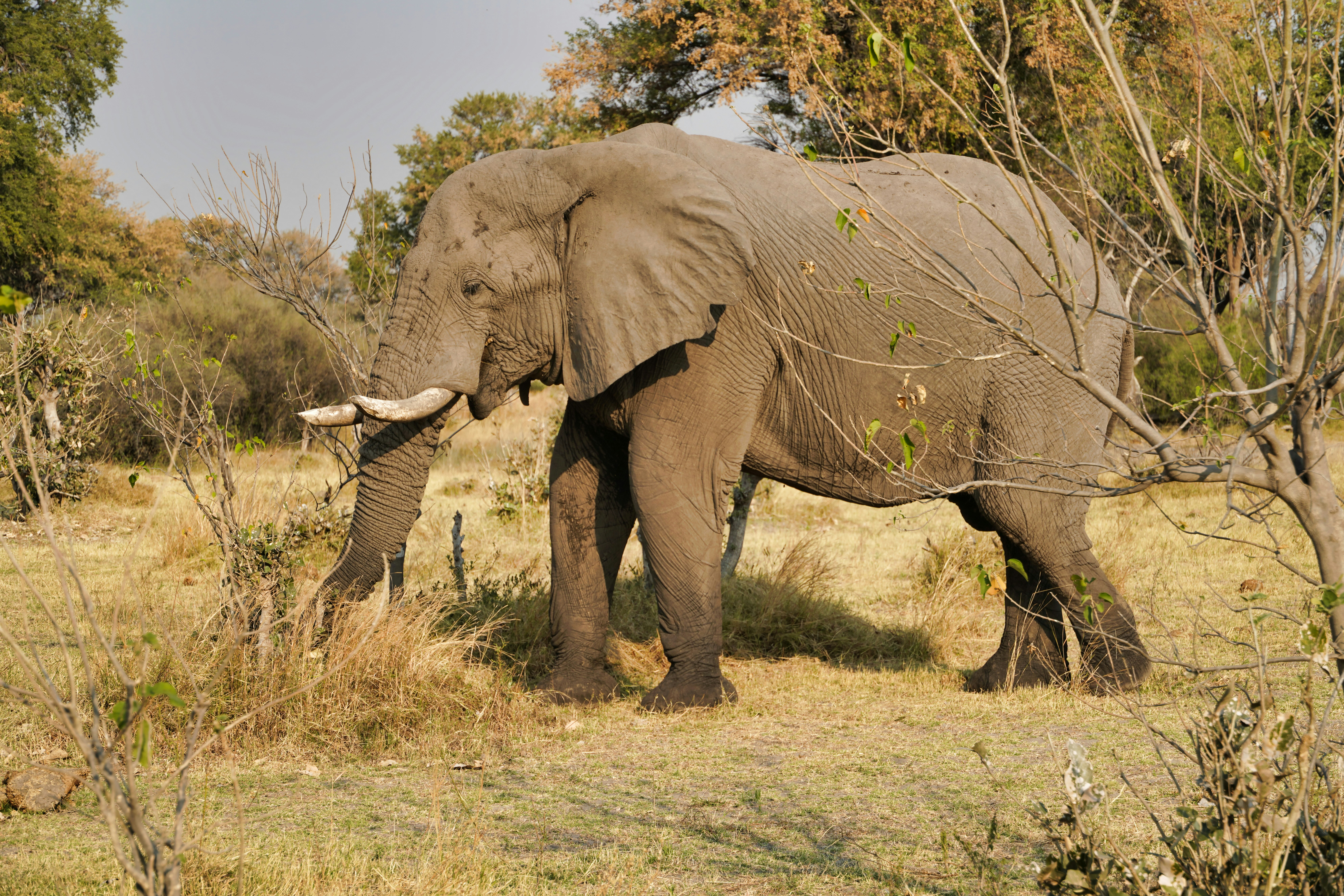 Photo by datingjungle