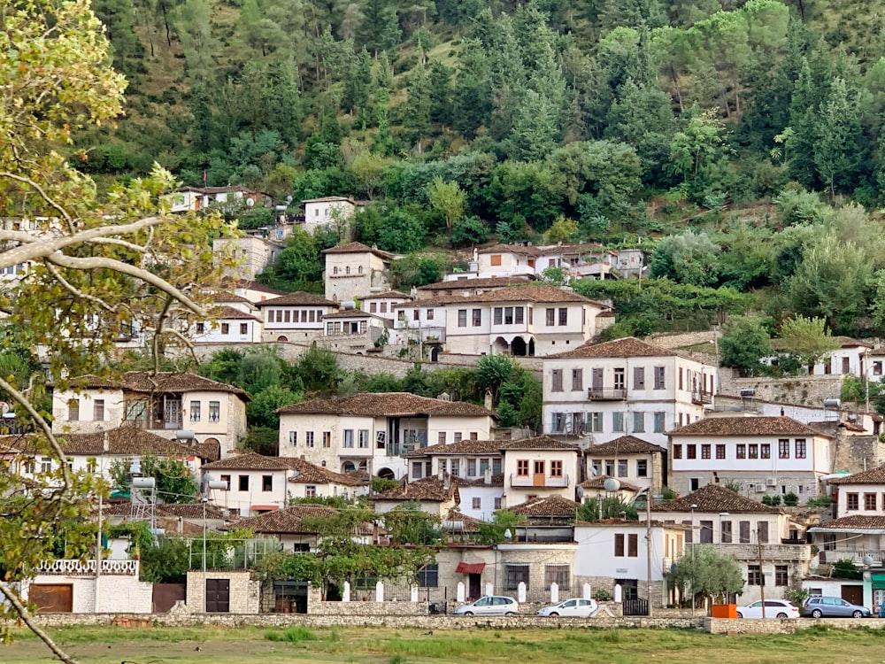 Maisons en béton blanc et brun près d’arbres verts pendant la journée