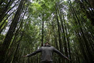 man in gray long sleeve shirt standing on forest during daytime