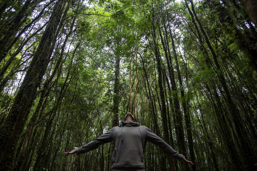 homme en chemise à manches longues grise debout sur la forêt pendant la journée