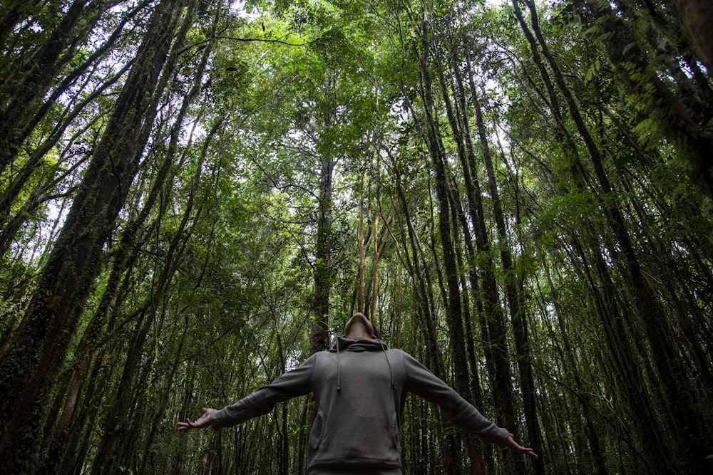 uomo in camicia grigia a maniche lunghe in piedi sulla foresta durante il giorno