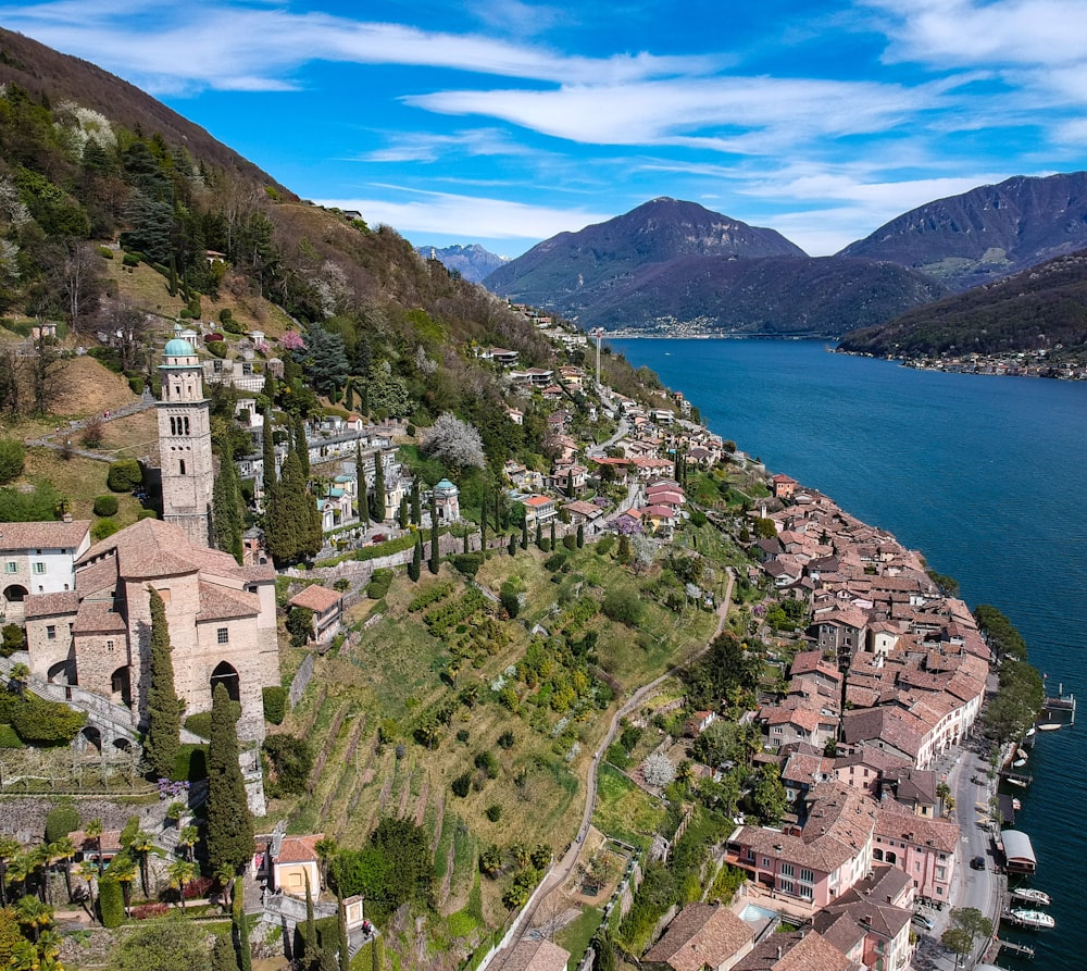 aerial view of city near body of water during daytime