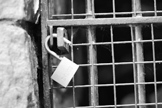 padlock on metal gate during daytime