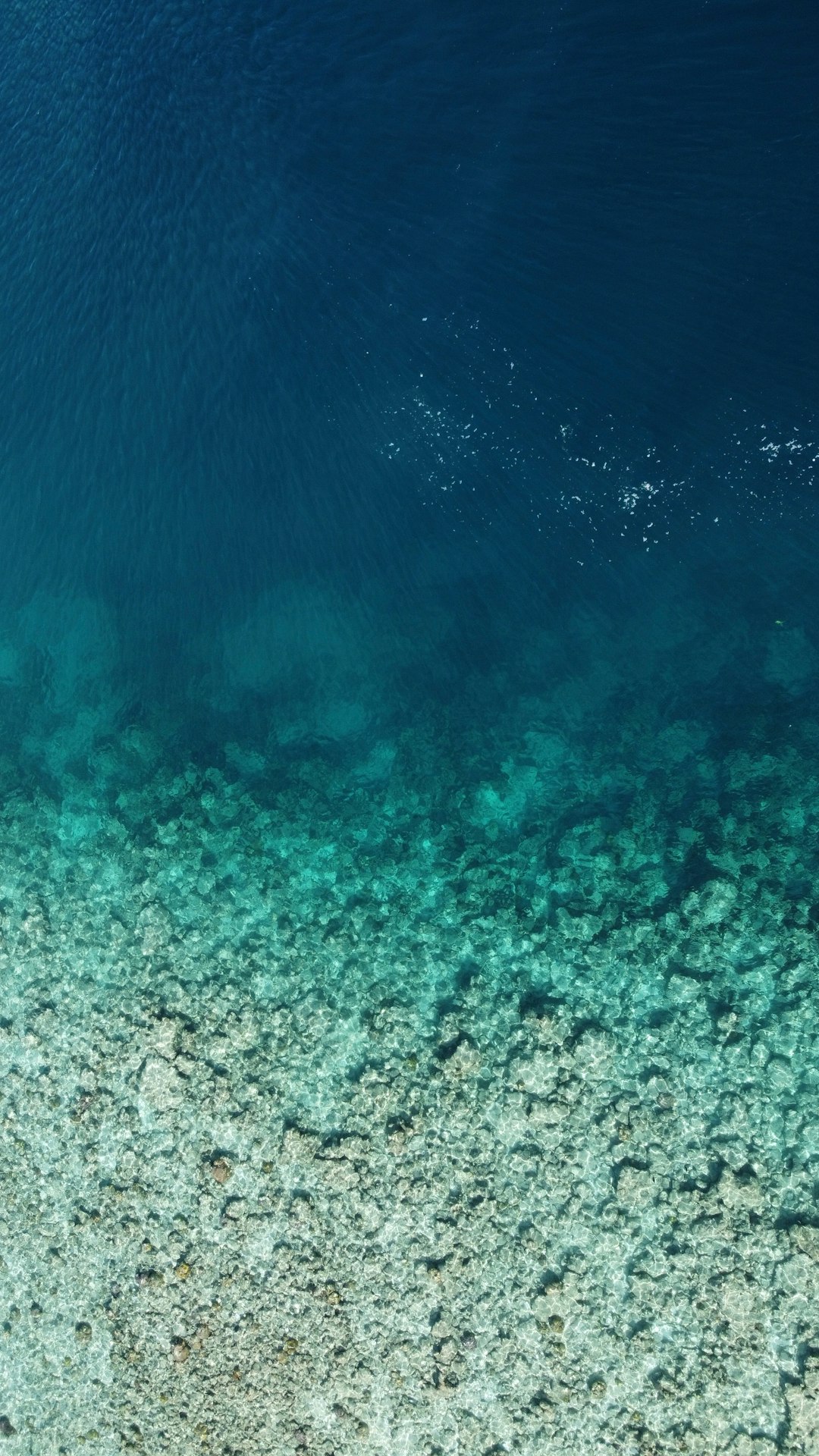 Underwater photo spot Malé Vaavu