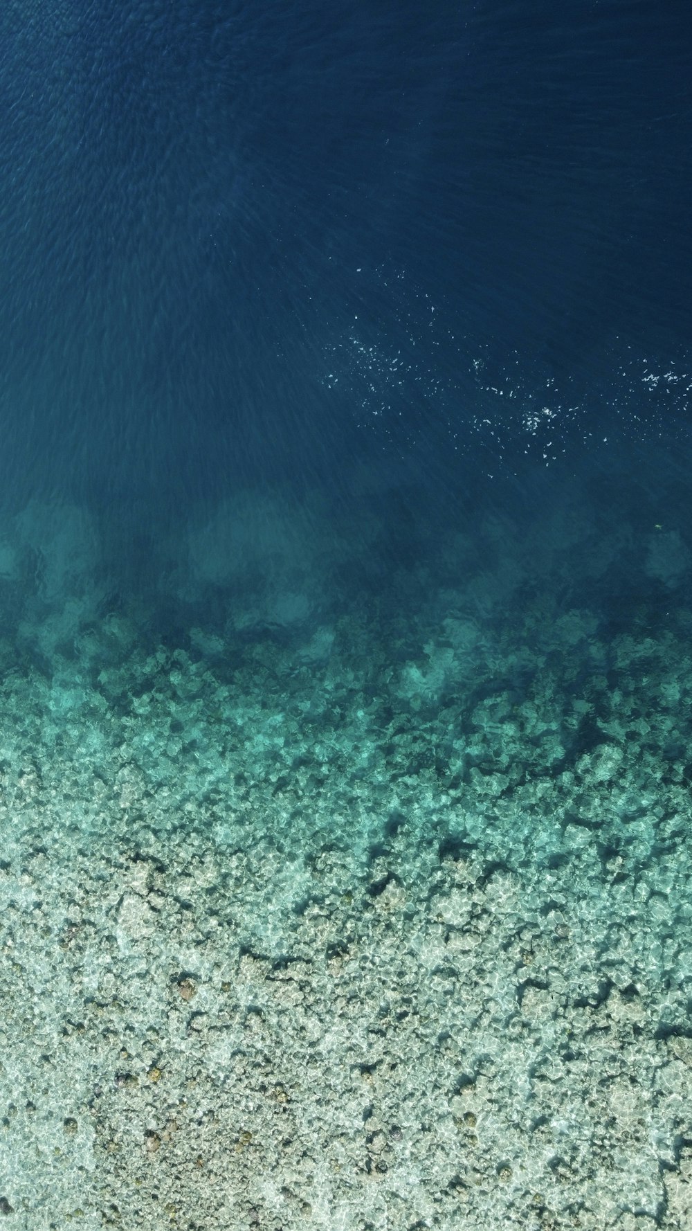 Ola de agua azul y blanca