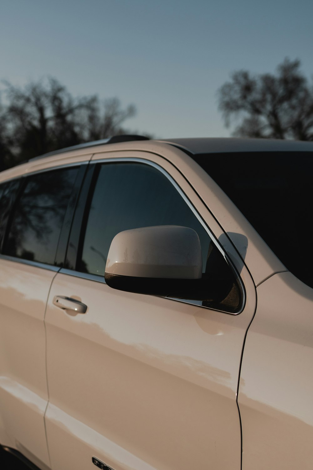 white car in a forest during daytime