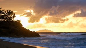 Rincon