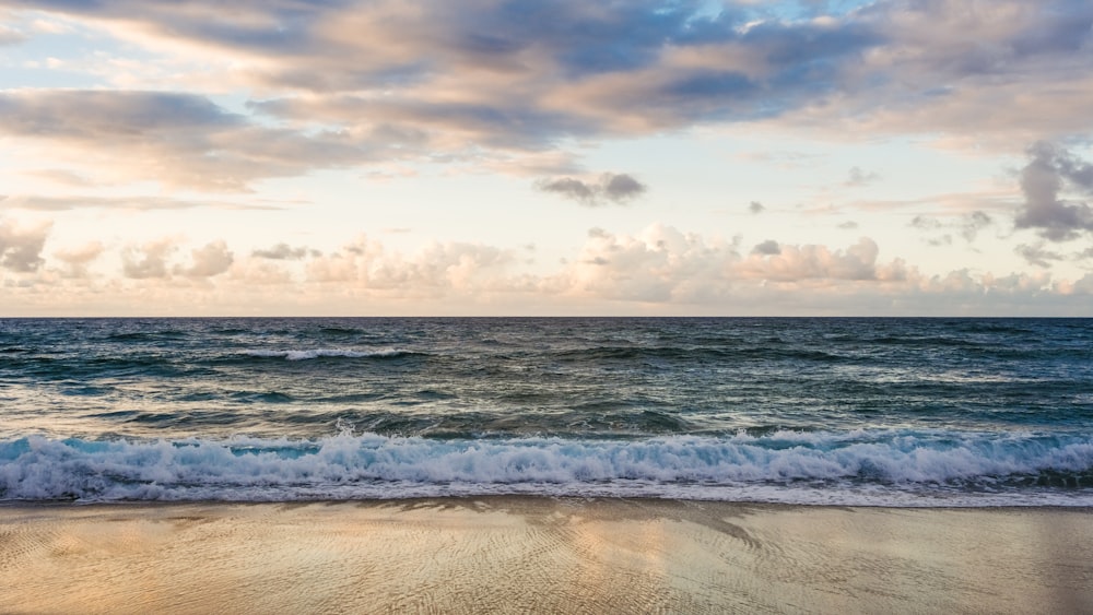 Les vagues de l’océan s’écrasent sur le rivage pendant la journée