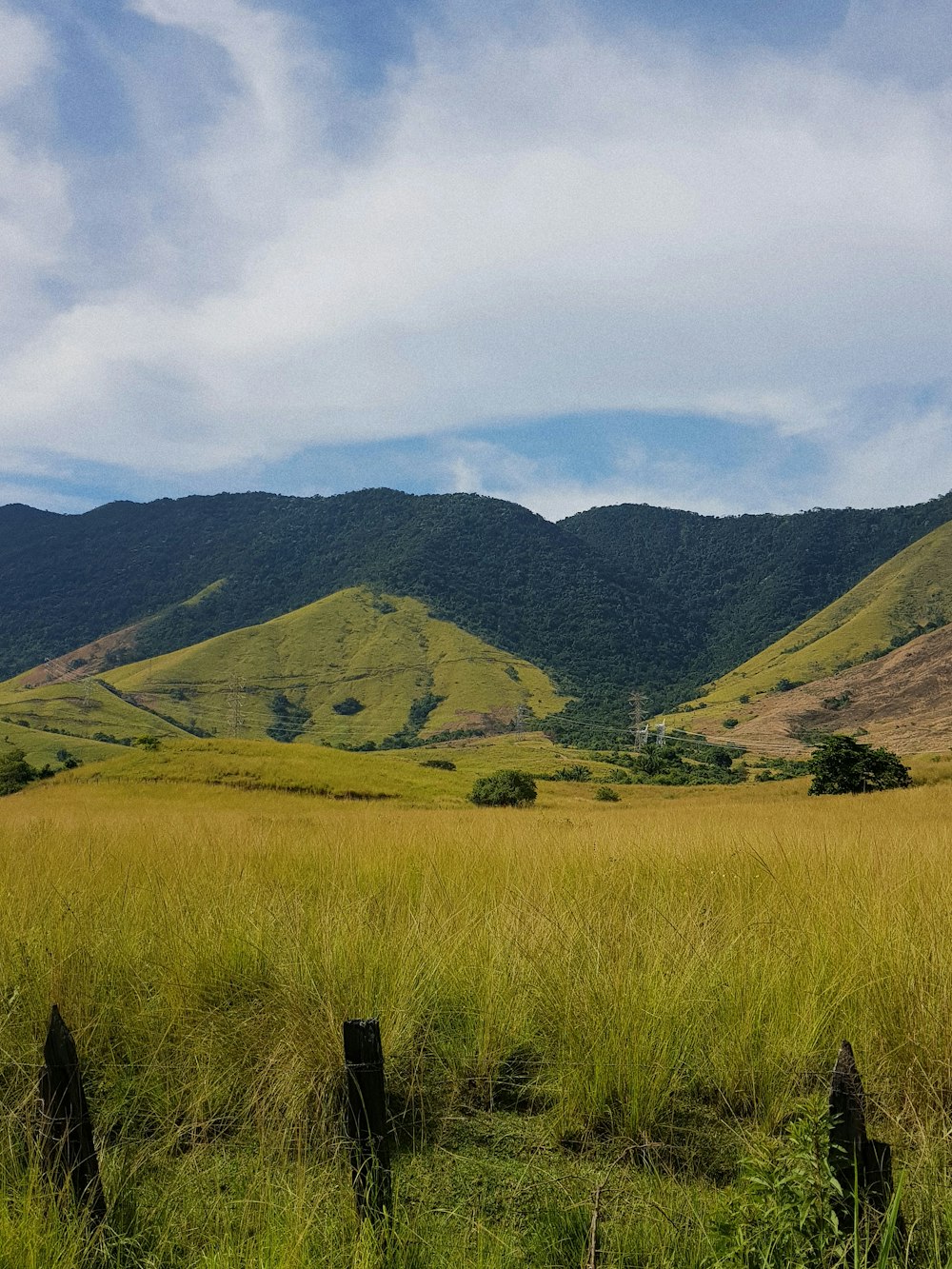 green mountains under white sky during daytime