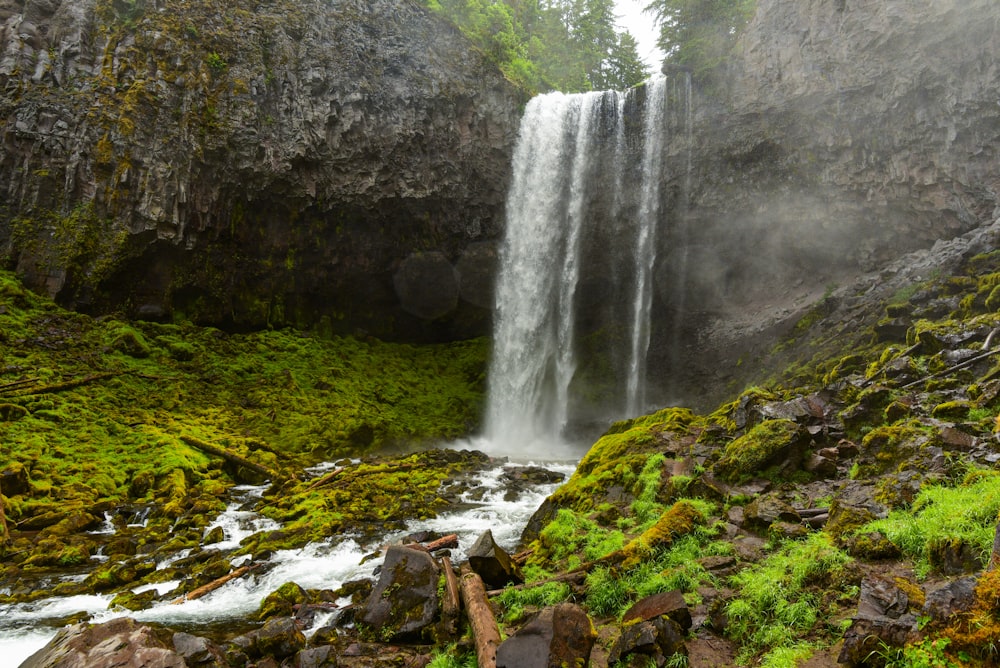 waterfalls in the middle of the forest