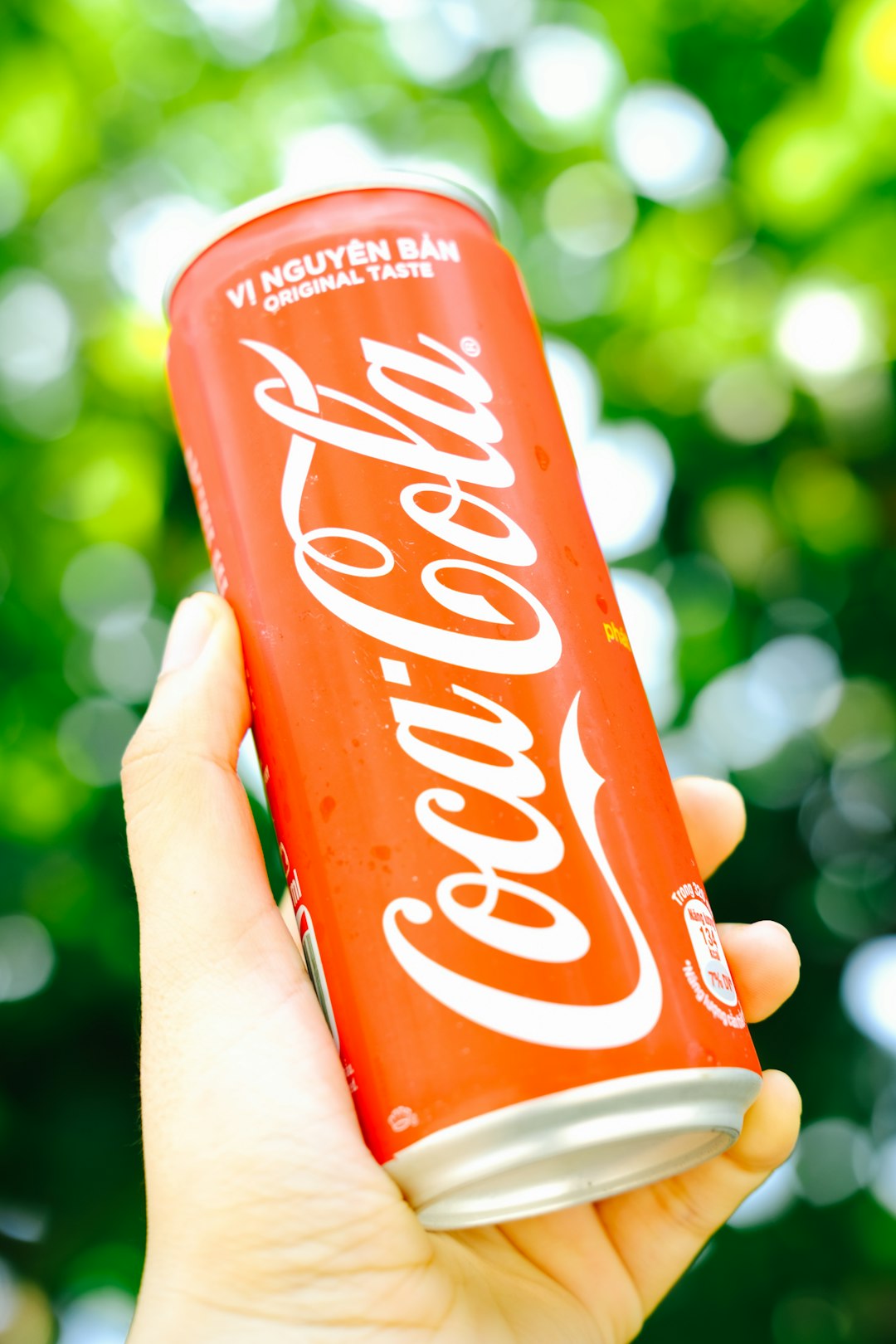 coca cola can on persons hand