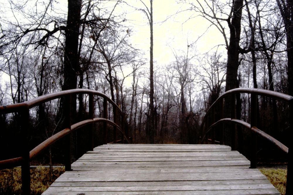 brown wooden bridge in between trees during daytime