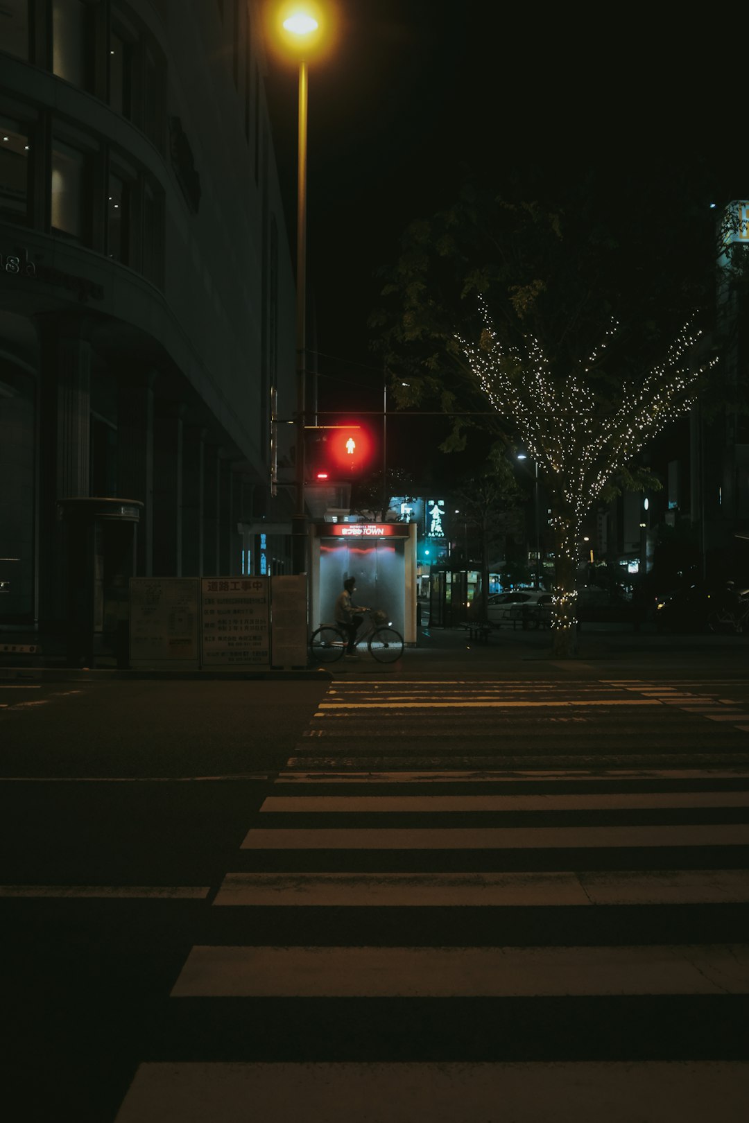 people walking on pedestrian lane during night time