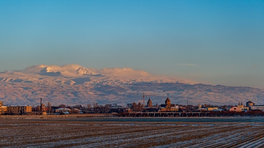 people walking on beach during daytime in Echmiadzin Armenia