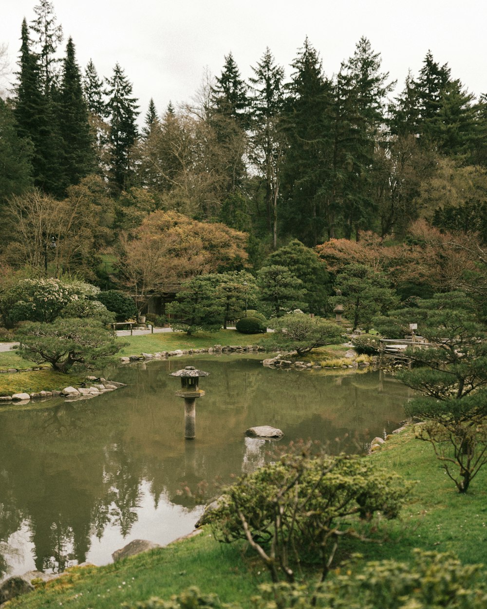 green trees beside river during daytime