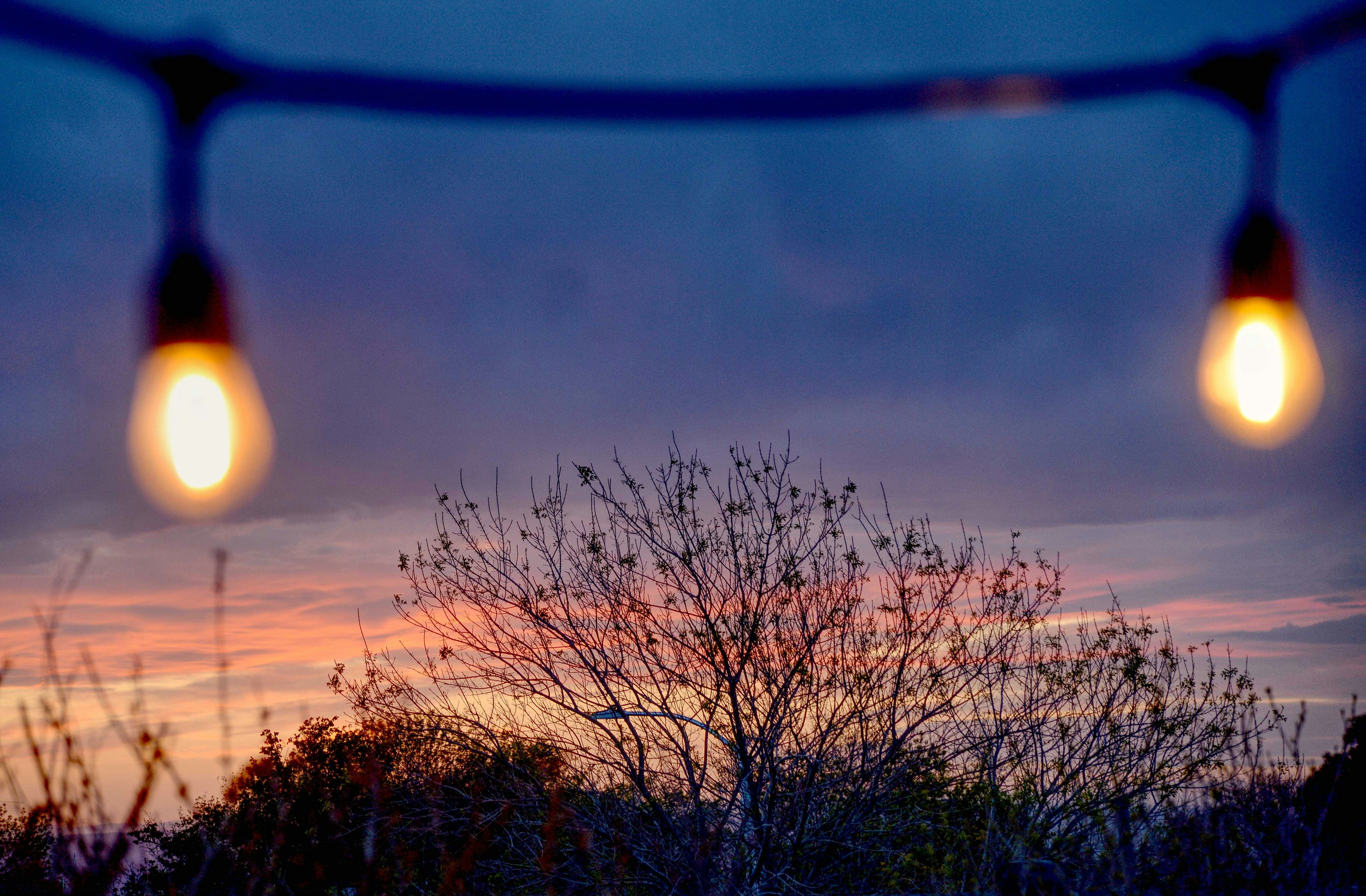 A display of solar-powered Christmas lights in Albuquerque