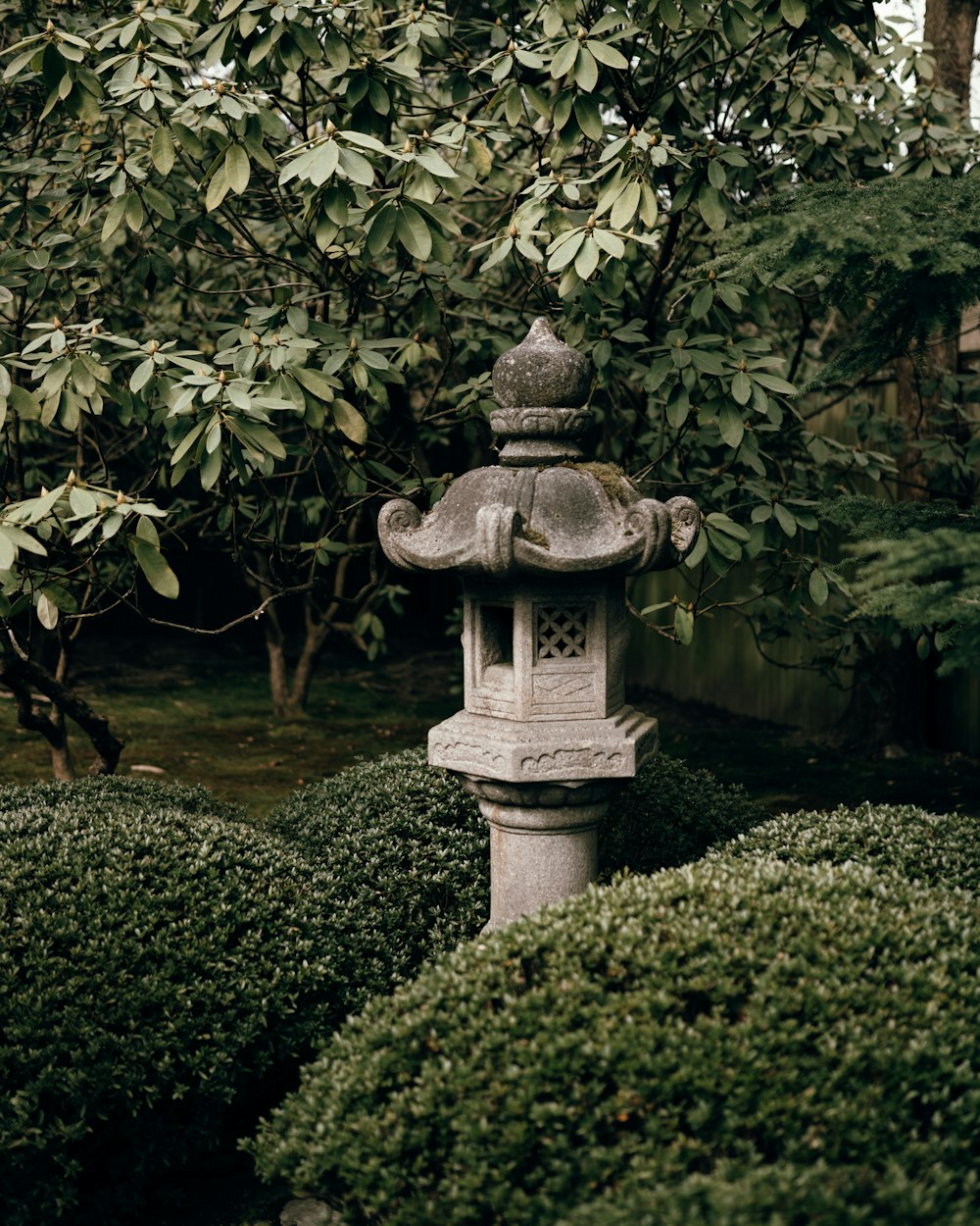 grauer Betonbrunnen im Freien, tagsüber von grünen Pflanzen umgeben