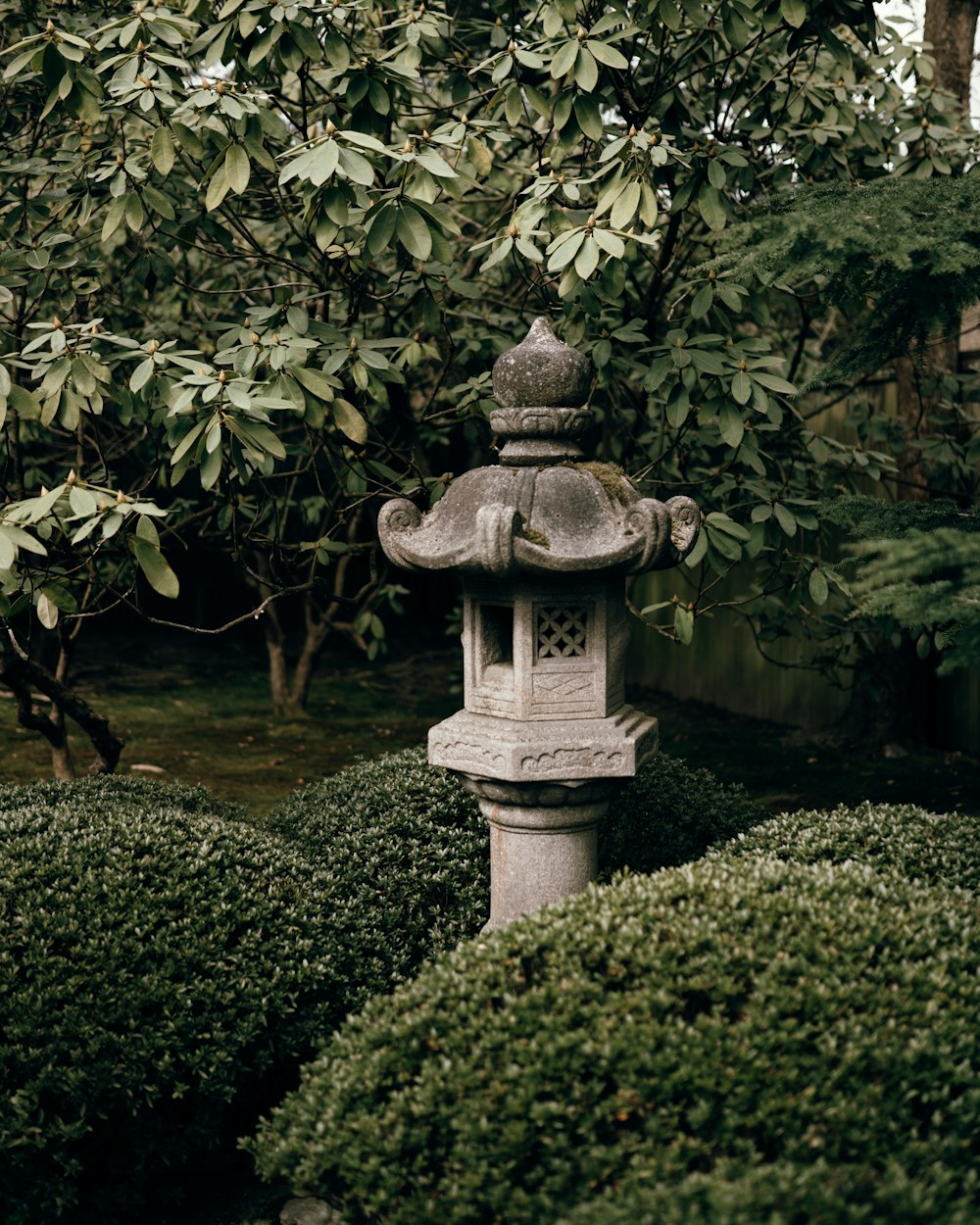 gray concrete outdoor fountain surrounded by green plants during daytime