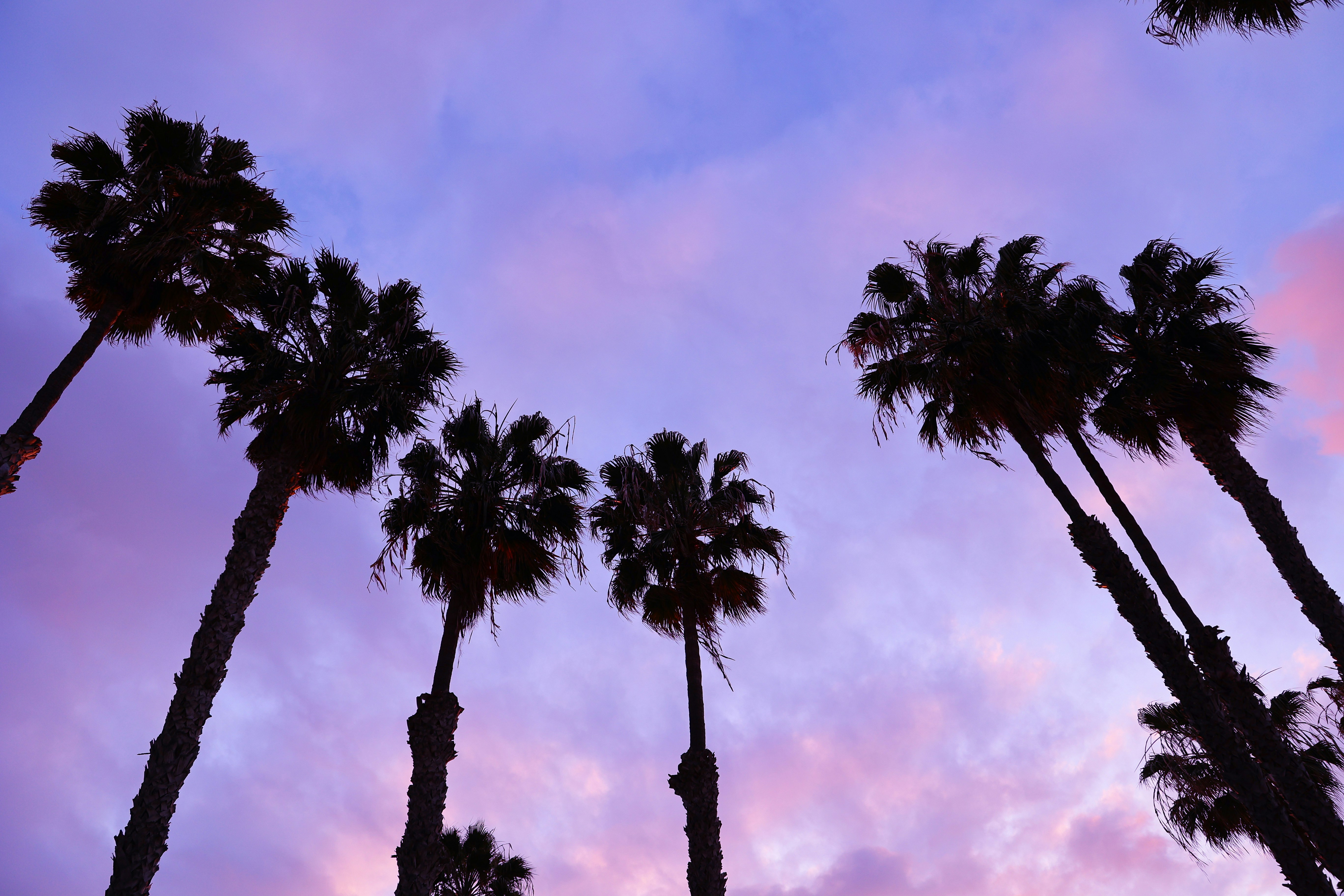 Photo by reednaliboff