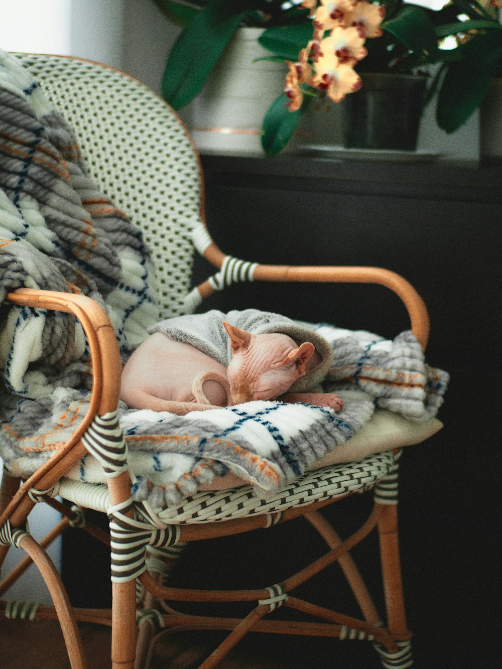 baby in pink onesie lying on white and black polka dot padded armchair