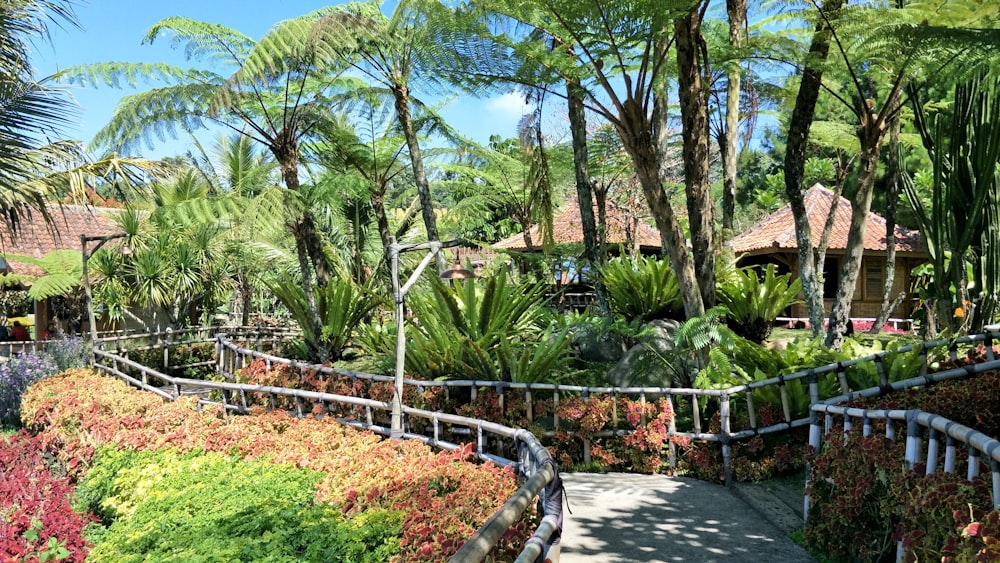 green trees and plants near brown concrete building during daytime