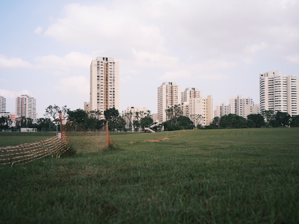 green grass field near city buildings during daytime