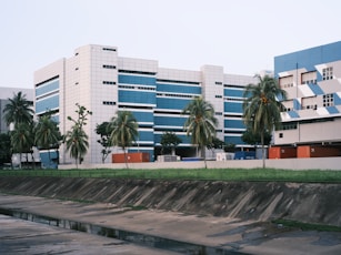 green palm trees near white concrete building during daytime