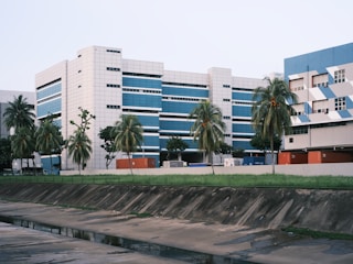 A modern multi-story building with a geometric facade featuring blue and gray horizontal panels. Several palm trees are lined up in front of the building, with a few shipping containers visible behind. A drainage canal is in the foreground.