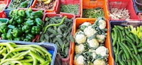 An image showcasing the variety of vegetable powders offered by Aabha Exim.