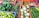A variety of fresh vegetables displayed in colorful baskets, including bell peppers, bitter gourds, cauliflowers, cucumbers, beans, and ginger. The vibrant and diverse collection is neatly organized.