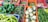 A variety of fresh vegetables displayed in colorful baskets, including bell peppers, bitter gourds, cauliflowers, cucumbers, beans, and ginger. The vibrant and diverse collection is neatly organized.