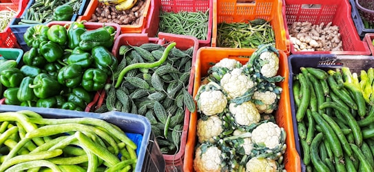 A variety of fresh vegetables displayed in colorful baskets, including bell peppers, bitter gourds, cauliflowers, cucumbers, beans, and ginger. The vibrant and diverse collection is neatly organized.