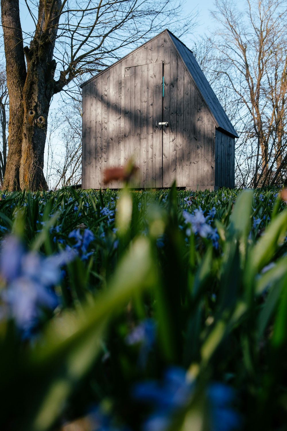 brown wooden house in the middle of green grass field