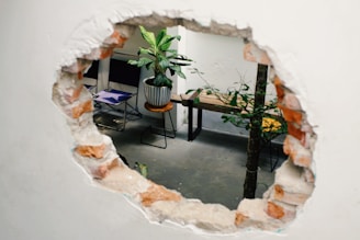 green potted plant on brown wooden table