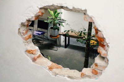 green potted plant on brown wooden table