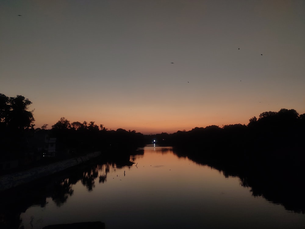 silhouette of trees near body of water during sunset