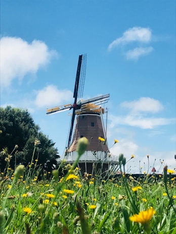 A vibrant windmill turning gently beside a field of blooming wildflowers under a clear blue sky.